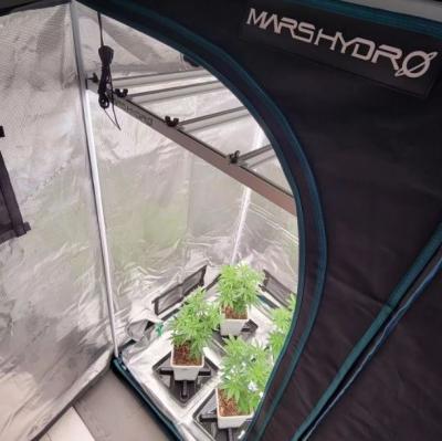 Led grow lights and grow tent kits from Mars Hydro - Los Angeles Electronics