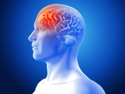 Best Neurologist in Mohali - Other Other