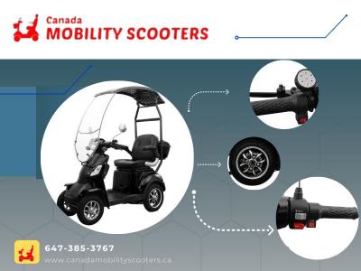 Scooter Rental Services for Easy Travel