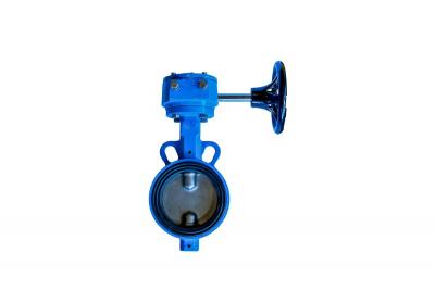 Understanding the Function and Significance of Butterfly Valves - Los Angeles Other