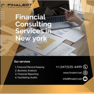 Finalert LLC |  Financial Consulting Services in New York - New York Other