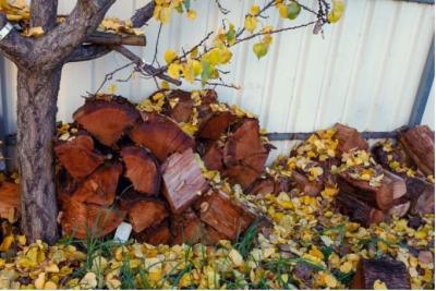 Your Partner for Winter Comfort: Firewood Adelaide - Adelaide Other