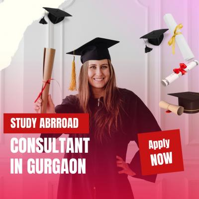 Study Abroad Consultant In Gurgaon - Gurgaon Other