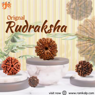 Find Your Perfect Rudraksha at affordable Online Prices - Gurgaon Jewellery