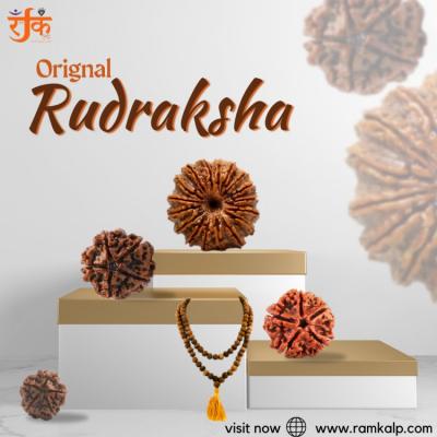 Find Your Perfect Rudraksha at affordable Online Prices - Gurgaon Jewellery