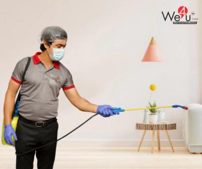 Affordable pest control service - Delhi Professional Services