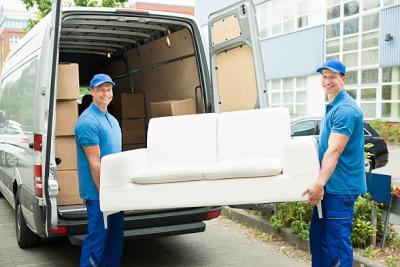 Your Trusted Partner for Stress-Free Furniture Delivery in Ipswich - Other Professional Services