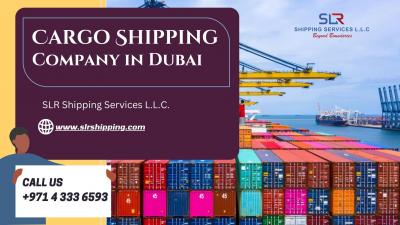 Cargo Shipping Definition and Prevention in Dubai - Dubai Other