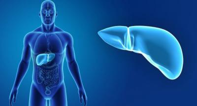 Most Exclusive Liver Transplant in India - Gurgaon Health, Personal Trainer