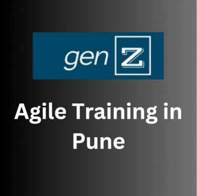 Agile Consulting in Pune | Delhi - Other Other