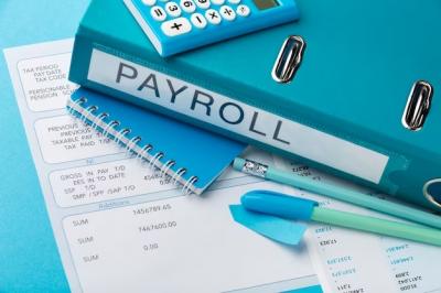 Efficient Payroll Services in Richmond - Willow Pay - Other Professional Services