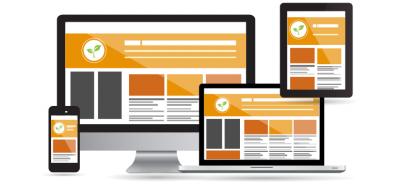 Are you looking for Responsive Web Design Services in Dubai? Visit Delimp Technology