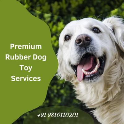 Premium Rubber Dog Toy Services - Other Health, Personal Trainer
