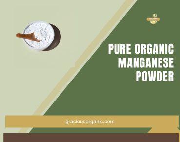 Pure Organic Manganese Powder - Gracious Organic - Other Other