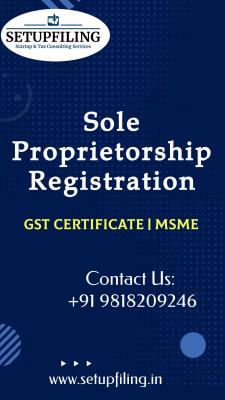 Sole Proprietorship Registration  - Delhi Professional Services