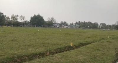 DTCP APPROVED PLOTS FOR SALE AT THANEERKULAM - Chennai Plots & Open Lands
