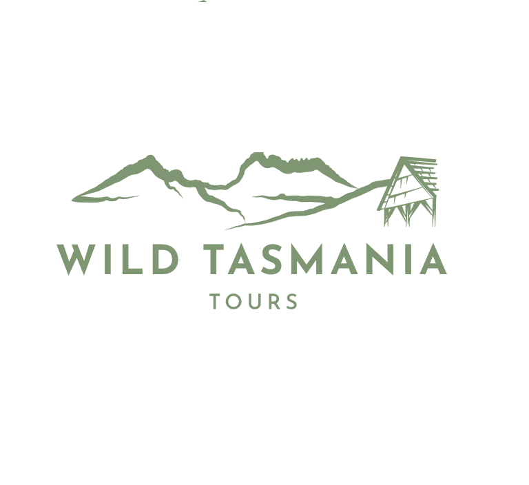 Explore the Tour to Tasmania wildlife sanctuary - Melbourne Other