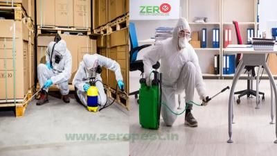 Top-rated Pest Control Services in Greater Noida: Say Goodbye to Pests!