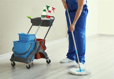 Experienced Cleaning Labor Supplier - Dubai Other