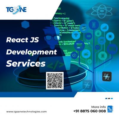 Expert React JS Development Services - TGSANE Technologies - Jaipur Other