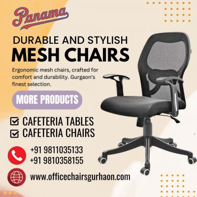Shop Now for Premium Mesh Chairs in Gurgaon - Upgrade Your Seating!  - Gurgaon Furniture
