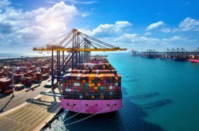 Affordable Container Shipping Solutions for Singapore's Businessess