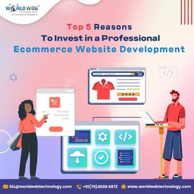 Top 5 Reasons to Invest in a Professional Ecommerce Website Development