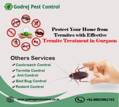 Termite Treatment in Gurgaon: Safeguarding Your Home from Silent Invaders - Ghaziabad Other