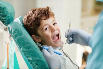 Exceptional Family Dentistry Services in Homewood: Your Smile's Best Friend