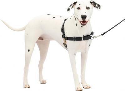 PetSafe Easy Walk No-Pull Dog Harness - New York Dogs, Puppies