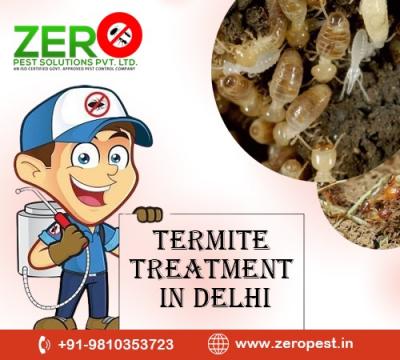 Defending Delhi Homes: Comprehensive Termite Treatment Solutions - Delhi Other