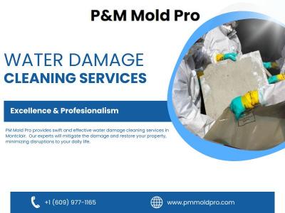 Professional Water Damage Cleanup Services  - Other Other