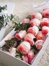Beautiful Roses for Sale