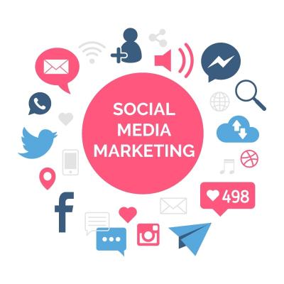 Get the best social media marketing services for your business with Delimp Technology