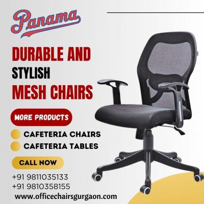 Premium Mesh Chairs Manufacturer in Gurgaon - Explore our Range!
