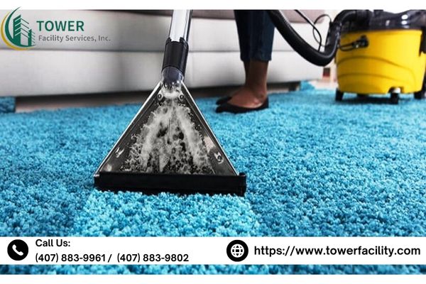 Clean Your Carpet With Experts - Other Professional Services