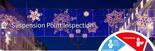 Anchor Point Inspections Services  - Other Other