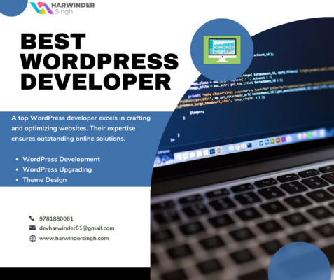 Best WordPress Developer - Chandigarh Other