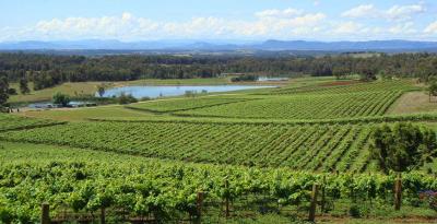 Exclusive Private Tours in Hunter Valley