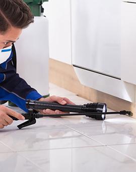 Know Some Standard Information on Commercial Pest Control in Sydney