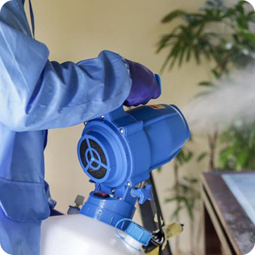 Expert Pest Technician in Melbourne: Your Solution to Pest Problems - Melbourne Professional Services