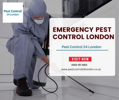 An emergency pest control service in London that responds rapidly to pest infestations 
