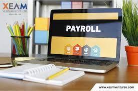 hr payroll management services mohali - Other Other