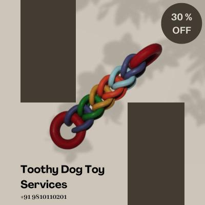 Toothy Dog Toy Services - Call +91 9810110201