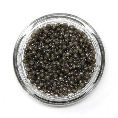 Beluga Half Breed Caviar A Delicacy Reclassified  In caviarstar