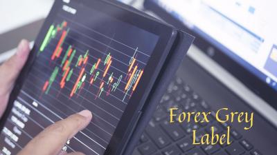Forex grey label provider