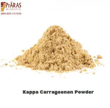 Buy Kappa Carrageenan Powder from Praras Biosciences Pvt Ltd