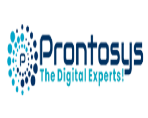 Prontosys IT Services - Dubai Other