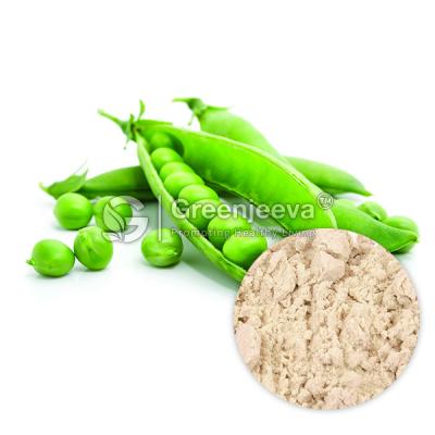 Wholesale Organic Pea Protein Powder - Other Other