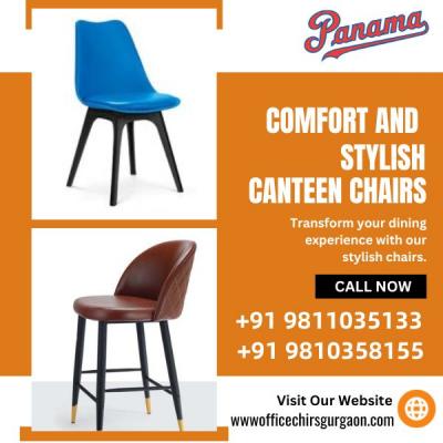 Comfort meets Style: Panama's Canteen Chairs in Gurgaon